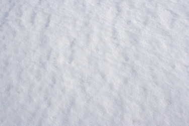 Similar image 21199082