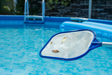 Similar image 21183324