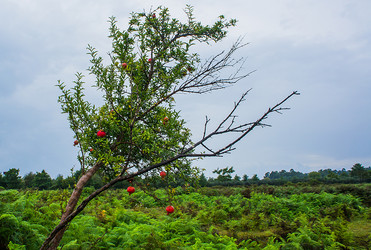 Similar image 21179672