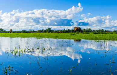 Similar image 21182012