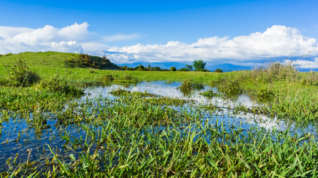 Similar image 21179679