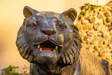 Similar image 21182017