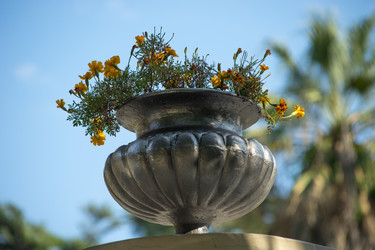 Similar image 21182019