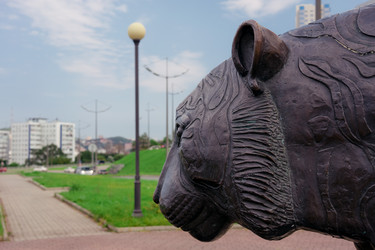 Similar image 21182067