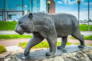 Similar image 21182068