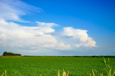 Similar image 21182073