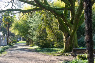 Similar image 21182076