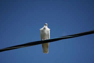 Similar image 21186648