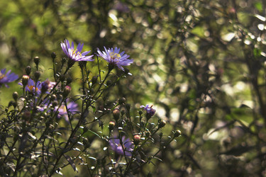 Similar image 21186650