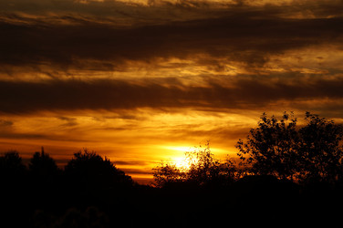 Similar image 21186652