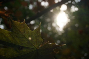 Similar image 21186653