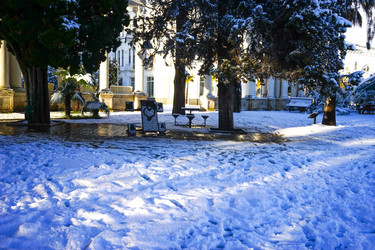 Similar image 21181924