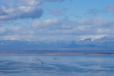 Similar image 21185956