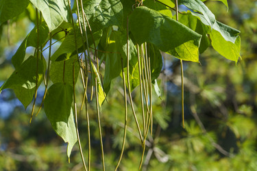 Similar image 21182105