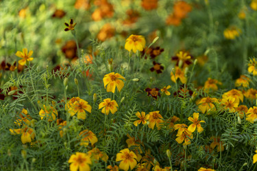 Similar image 21182106