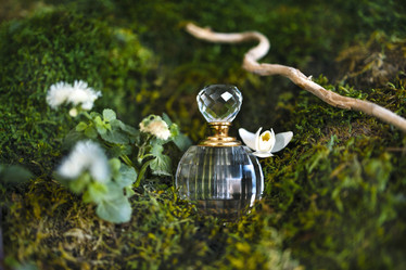 Similar image 21180444