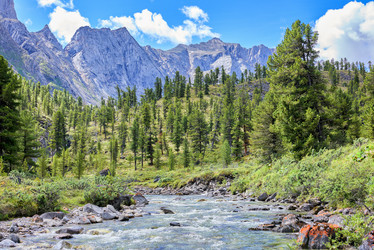 Similar image 21180724