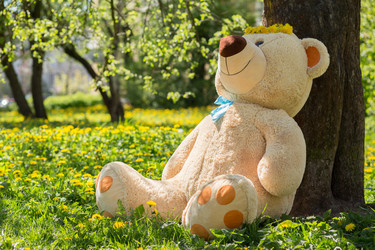 Similar image 21188063