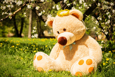 Similar image 21188064