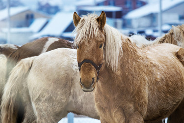 Similar image 21200229