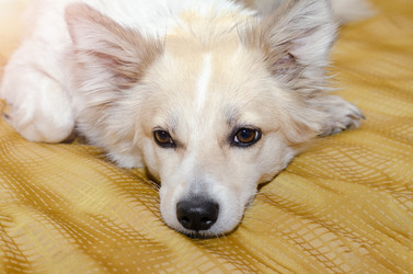 Similar image 21200234