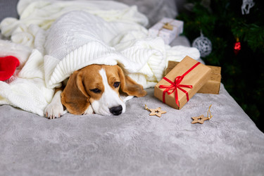 Similar image 21194937