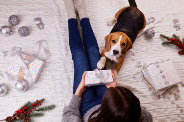 Similar image 21189933