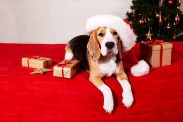 Similar image 21182716