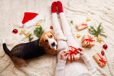 Similar image 21195355