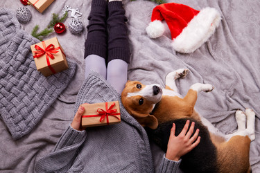 Similar image 21189935