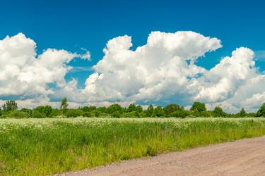 Similar image 21180619