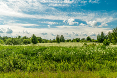 Similar image 21180622