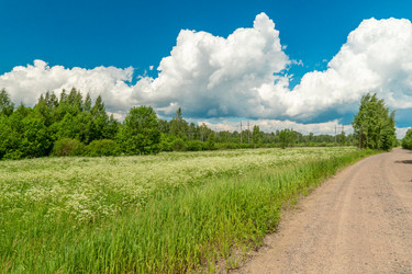 Similar image 21180625