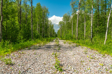 Similar image 21180633