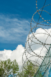 Similar image 21180640