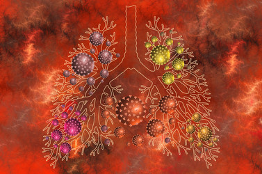 Similar image 21202495