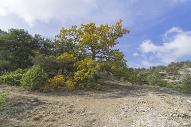 Similar image 21182669