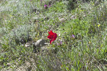 Similar image 21182671