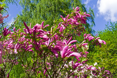 Similar image 21182674