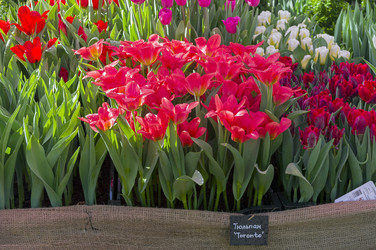 Similar image 21182675