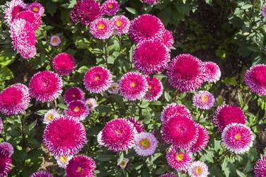 Similar image 21182677