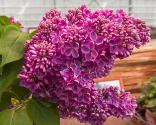 Similar image 21182679