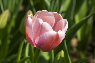 Similar image 21182732