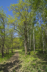 Similar image 21182735