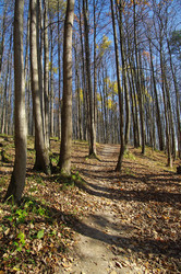 Similar image 21182737