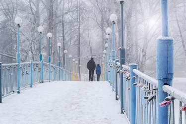 Similar image 21202499