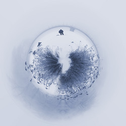 Similar image 21202500