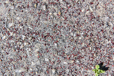 Similar image 21180726