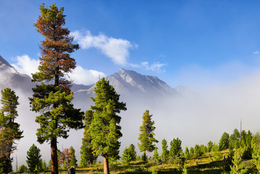 Similar image 21180736