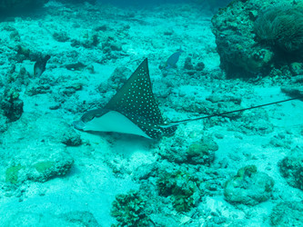 Similar image 21181269